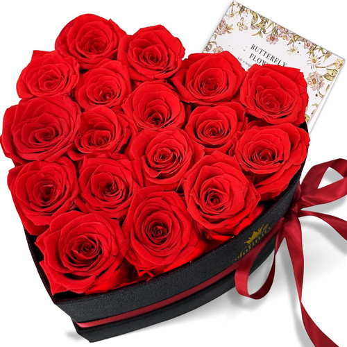 Ewige rosen rote echte - 17,